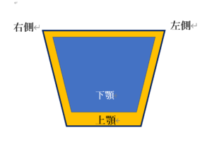 前歯